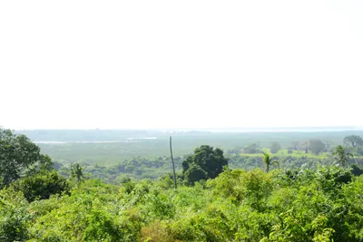 DSC_8299 (Large).JPG